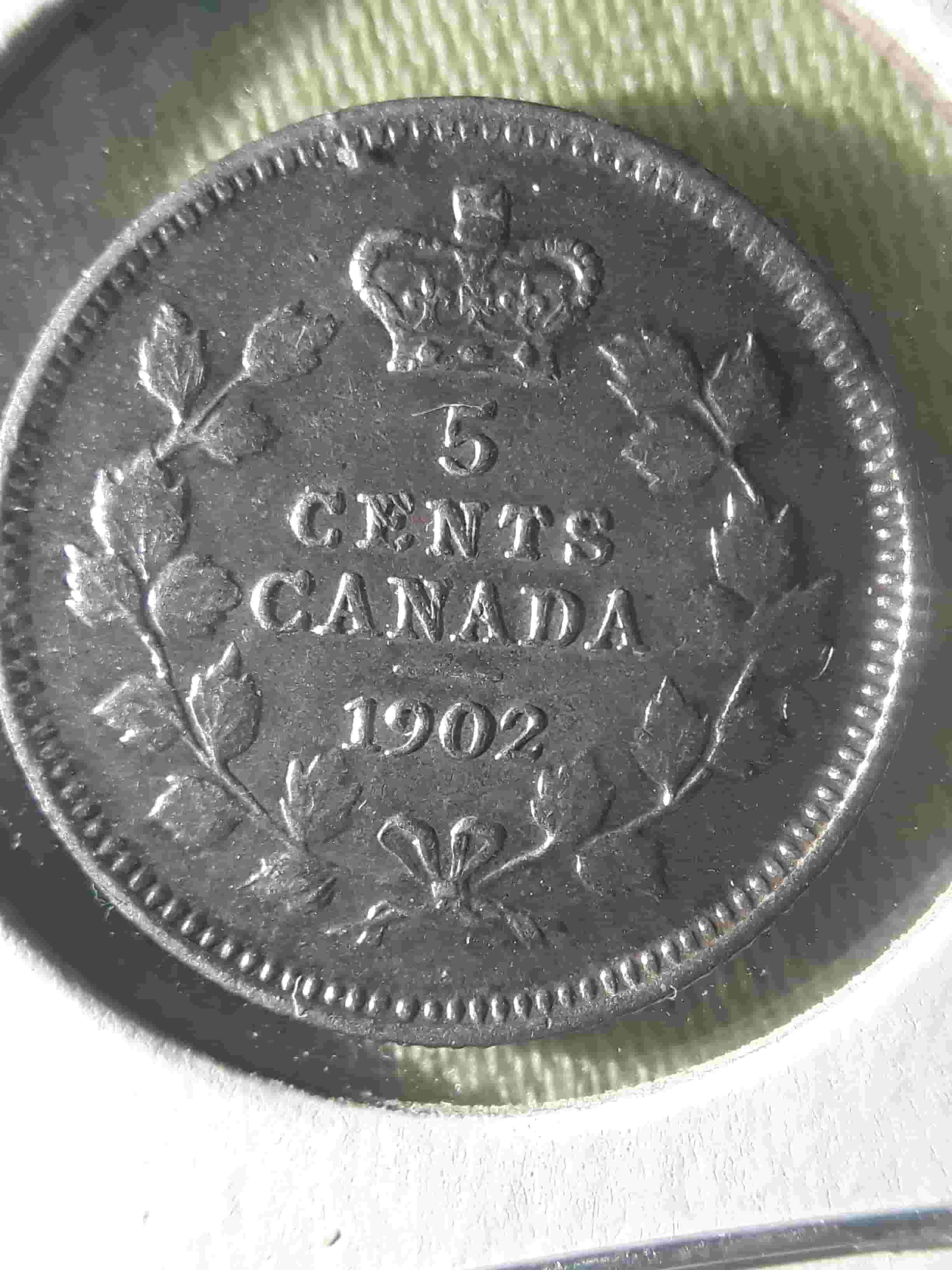 Please-Help.-1902-5-Cent-